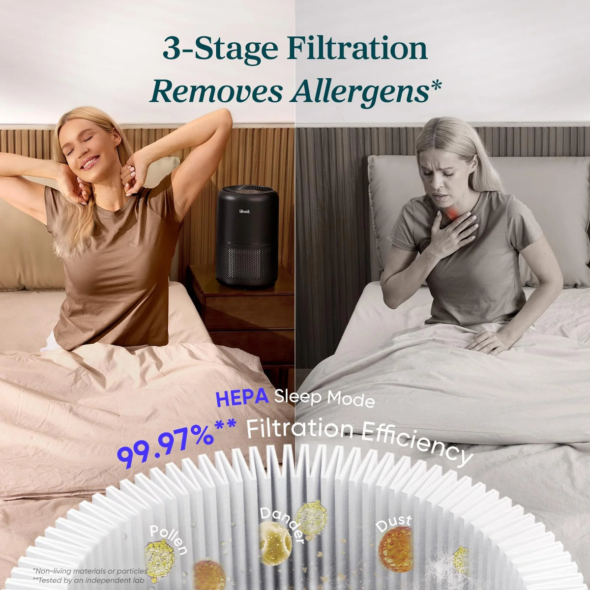 Air Purifier for Home, Compact Air Cleaner for Allergens, Dust, Pet Hair and Pet Dander
