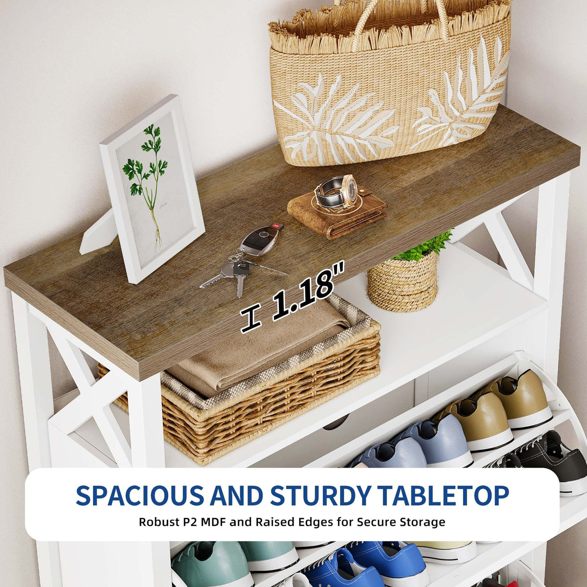 Shoe Storage Cabinet Organizer with 2 Compartments, Entryway and Hallway Shoe Cabinet