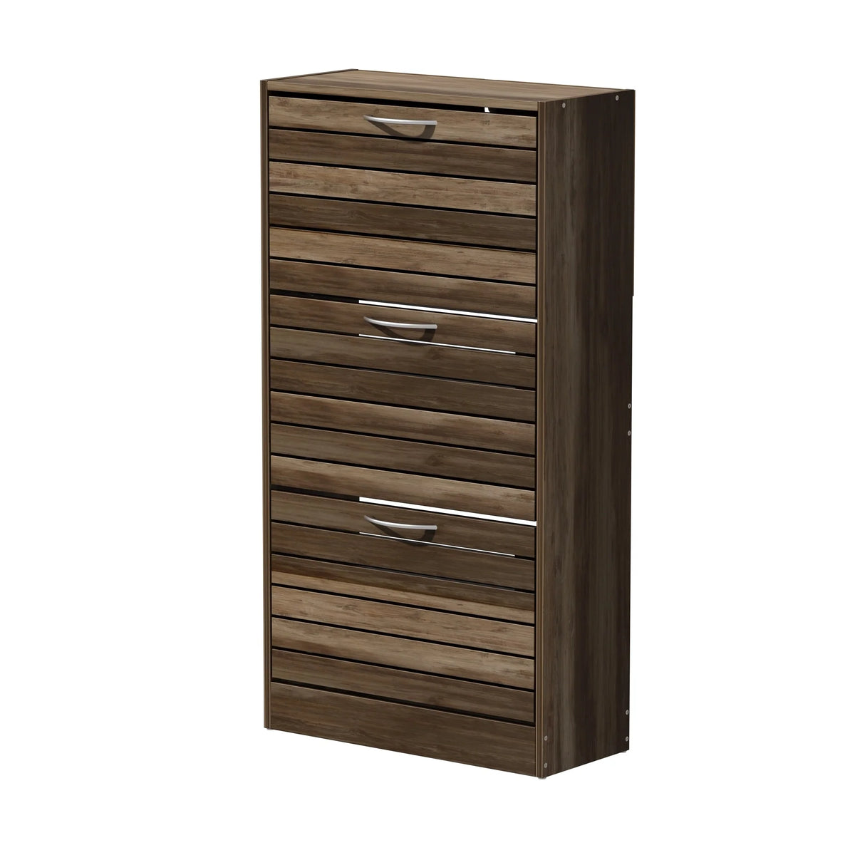 Modern Shoe Storage Cabinet for Entryway and Hallway, Space-Saving Shoe Organizer