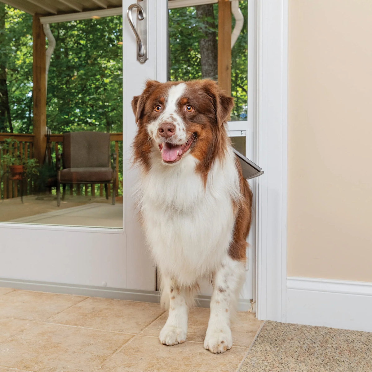 Sliding Glass Pet Door, No-Cut DIY Installation for Renters, Apartments and Rental Homes