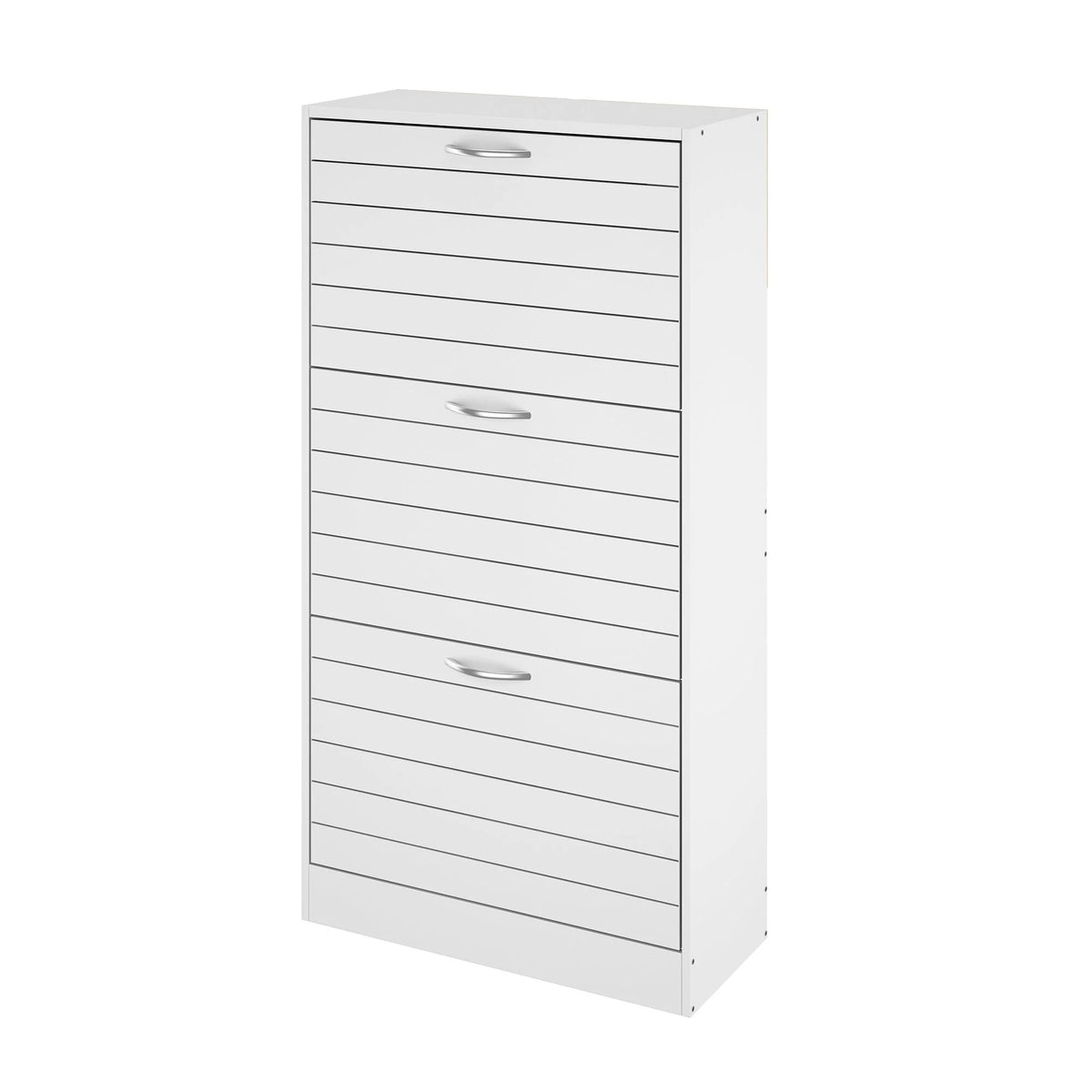Modern Shoe Storage Cabinet for Entryway and Hallway, Space-Saving Shoe Organizer