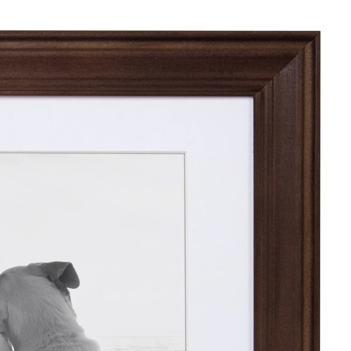 10-Piece Wood Gallery Wall Picture Frame Set, Decorative Photo Display Frames for Living Room, Bedroom and Home Decor