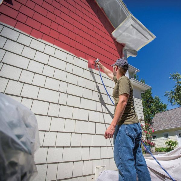 Stand Airless Paint Sprayer