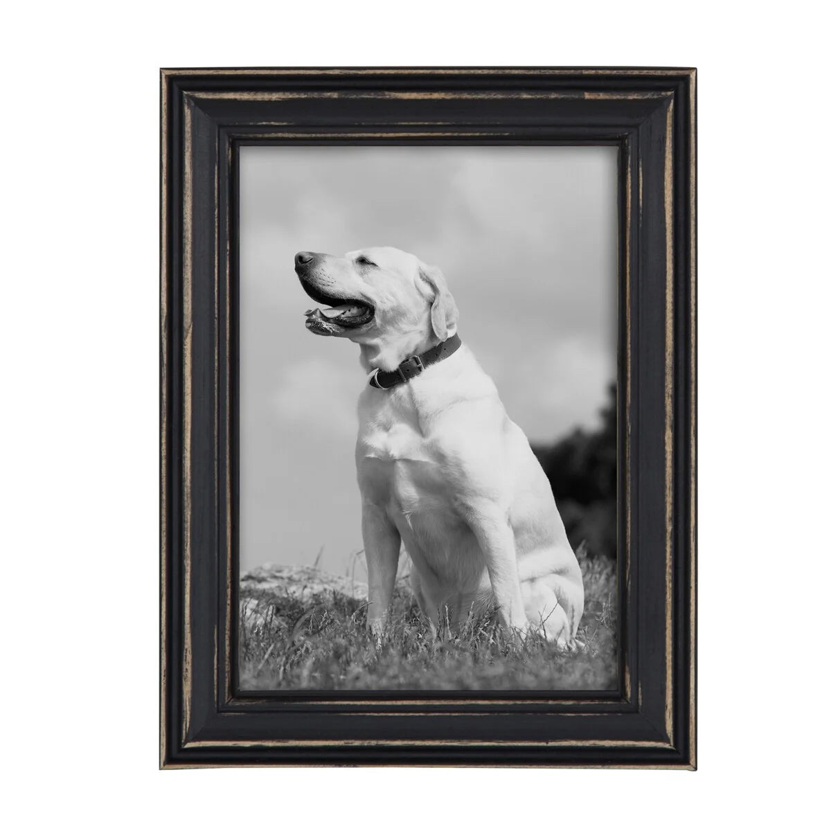 10-Piece Wood Gallery Wall Picture Frame Set, Decorative Photo Display Frames for Living Room, Bedroom and Home Decor